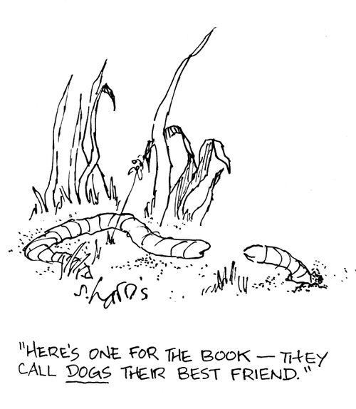 Here's one for the book - they call dogs their best friend.