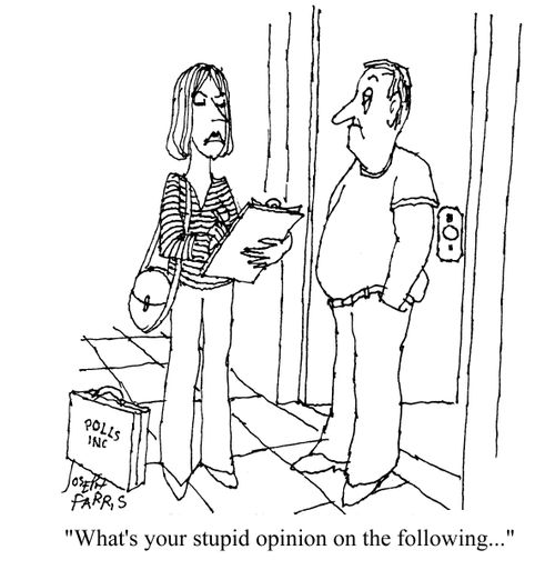 What's your stupid opinion on the following...