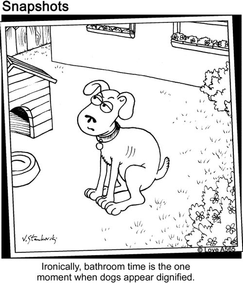"Ironically, bathroom time is the one moment when dogs appear dignified."