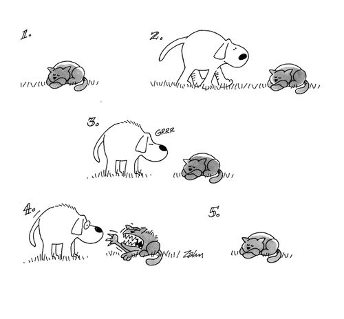 Cat Attack.