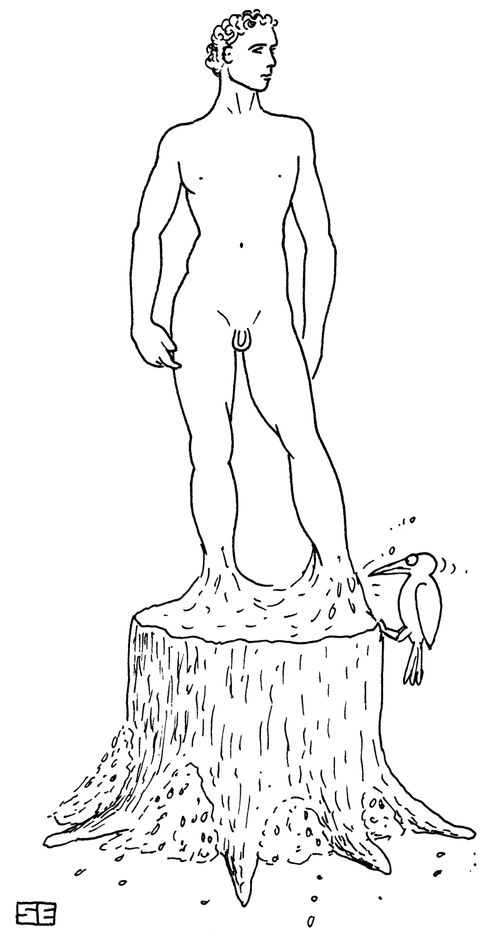Woodpecker carves David out of tree.