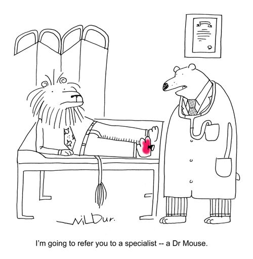 'I'm going to refer you to a specialist - a Dr Mouse.'