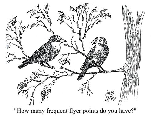 'How many frequent flyer points do you have?'