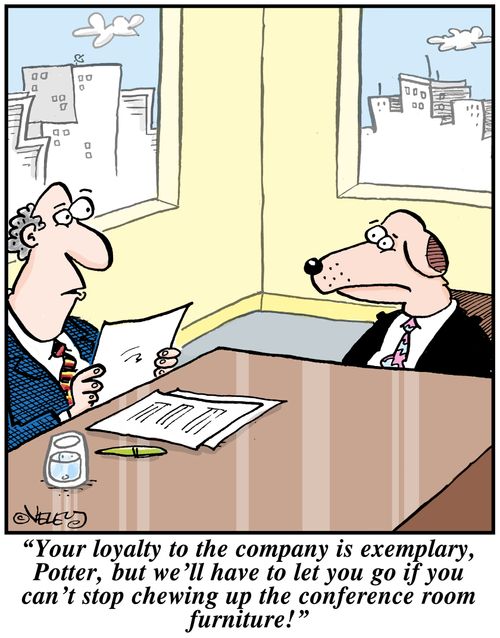 'Your loyalty to the company is exemplary, Potter, but we'll have to let you go if you can't stop chewing up the conference room furniture!'