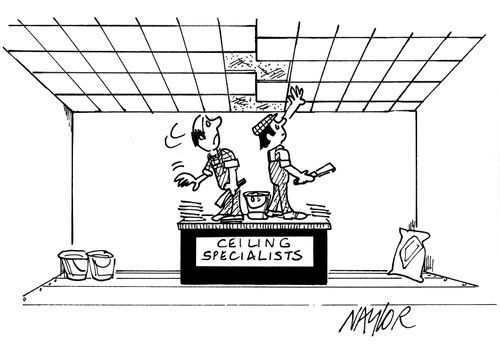 Ceiling Specialists Meet in the Middle.