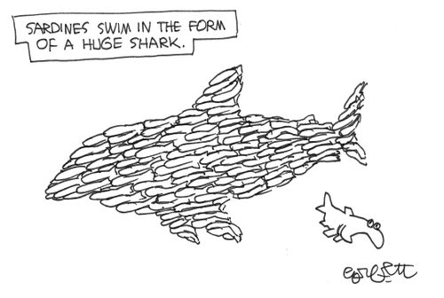 Sardines swim in the form of a huge shark.