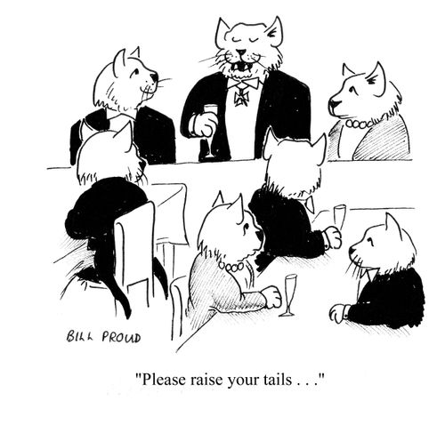 'Please raise your tails...'