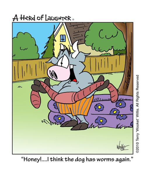 'Honey!!...I think the dog has worms again.'