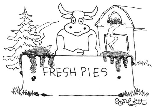 Cow sells fresh pies.