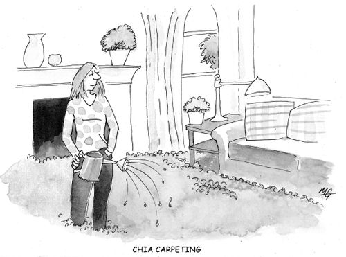 Chia carpeting.