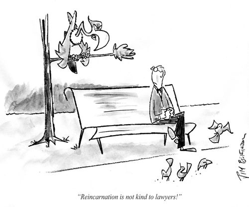 Reincarnation is not kind to lawyers!