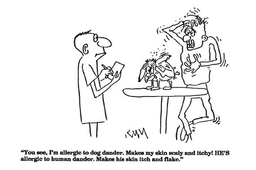 'You see, I'm allergic to dog dander....'