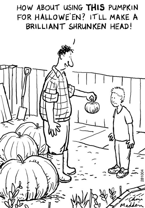 'How about using this pumpkin for Halloween, it will make a great shrunken head.'