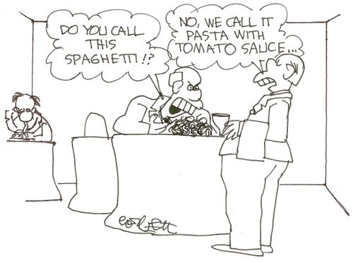 'Do you call this spaghetti'