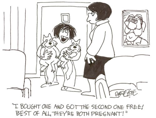 'I bought one and got one free! Best of all, they're both pregnant.'