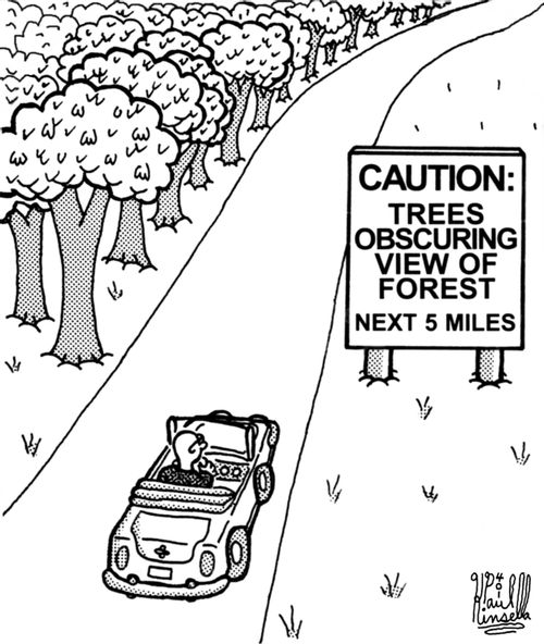 Caution: Trees obscuring view of forest next 5 miles.