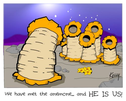 'We have met the anemone... and he is us!'
