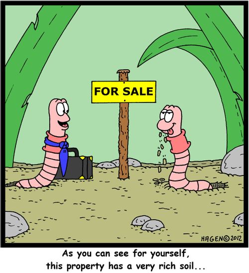 'As you can taste for yourself, this property has a very rich soil...'
