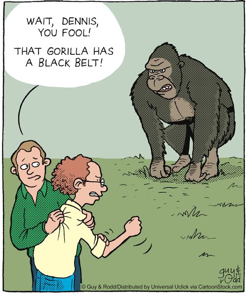 'Wait, Dennis, you fool! That gorilla has a black belt!'
