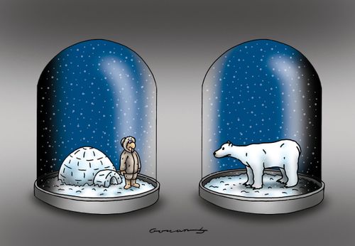 Souvenirs of the Arctic.