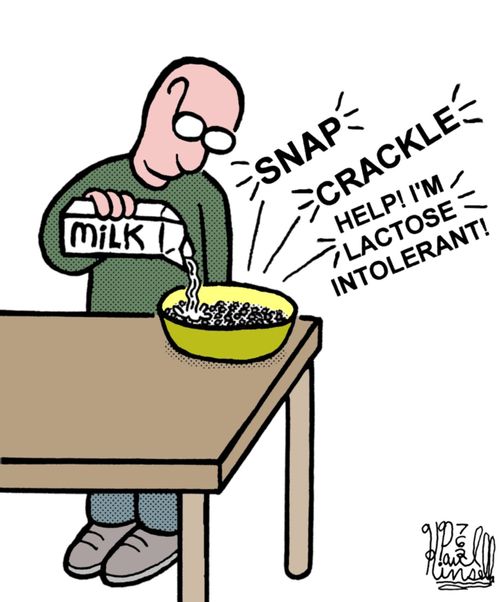 'Help! I'm lactose intolerant!'