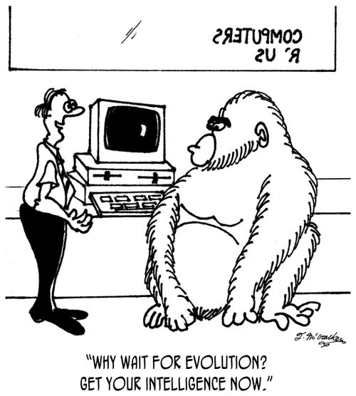 'Why wait for evolution? Get your intelligence now.'