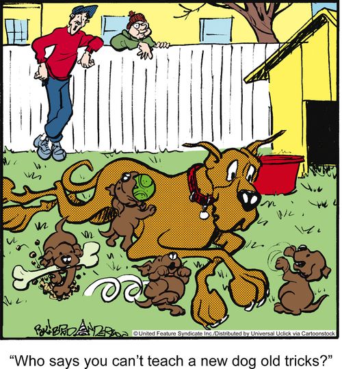 'Who says you can't teach a new dog old tricks?'