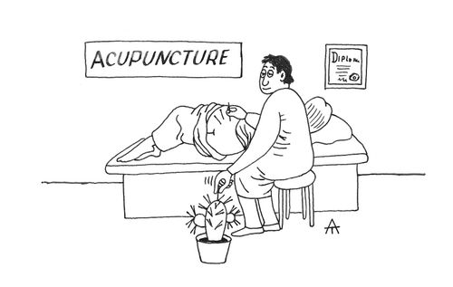 Cactus Acupuncture