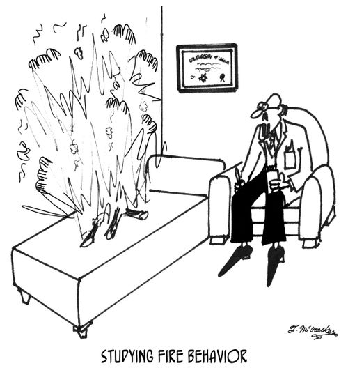 Studying Fire Behavior
