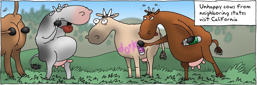 Unhappy Cows from neighboring states visit California.