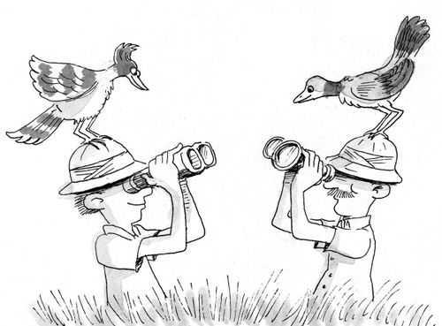 Bird watchers watch each other's bird.