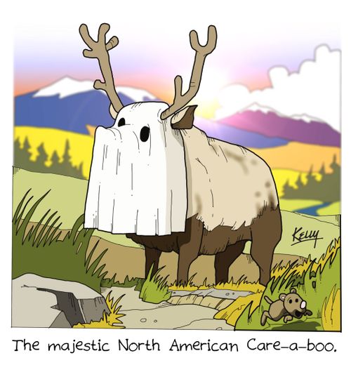 The majestic North American Care-a-boo.