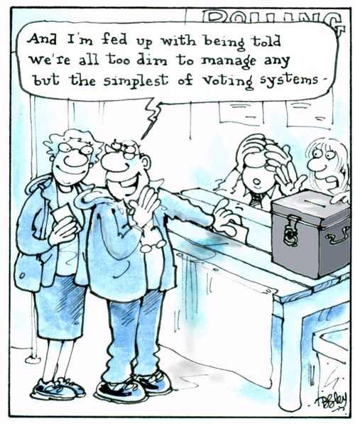 'I'm fed up with being told we're all too dim to manage any but the simplest of voting systems.'