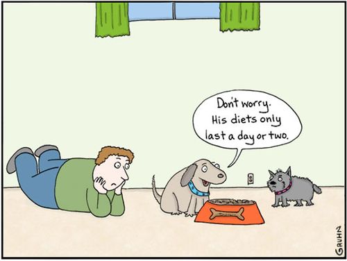'Don't worry. His diet's only last a day or two.'