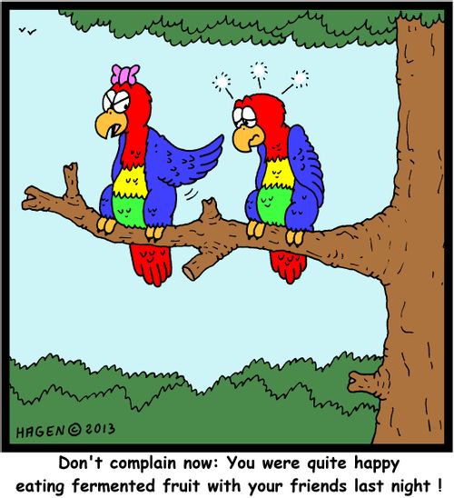 'Don't complain now: You were quite happy eating fermented fruit with your friends last night!'