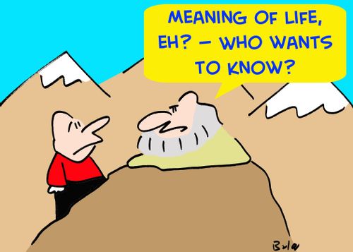 'Meaning of life, eh? -- Who wants to know?'
