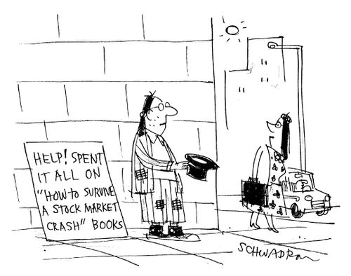 Help! Spent it all on 'How to survive a stock market crash' books.