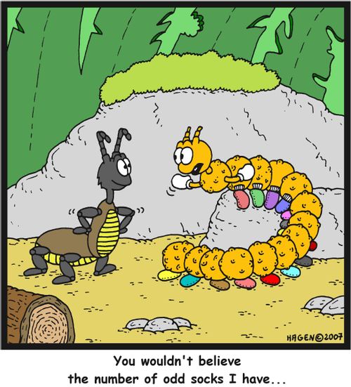 'You wouldn't believe the number of odd socks I have...'