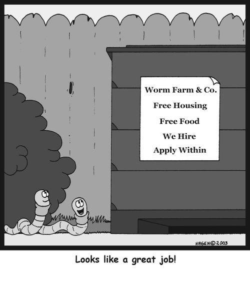 'Looks like a great job!'