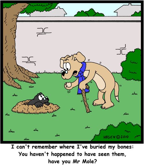 'I can't remember where I've buried my bones: You haven't happened to have seen them, have you Mr Mole?'