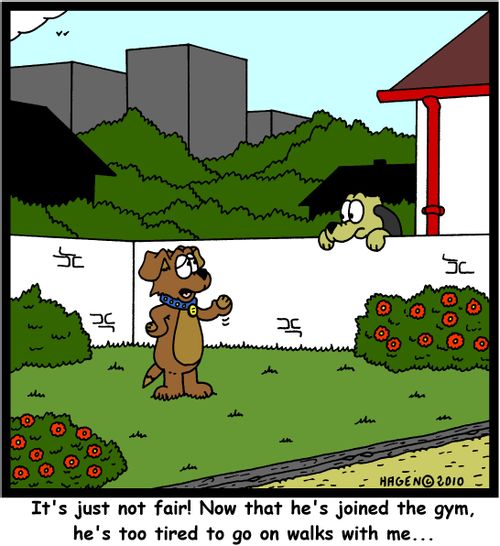 'It's just not fair! Now that he's joined the gym, he's too tired to go on walks with me...'