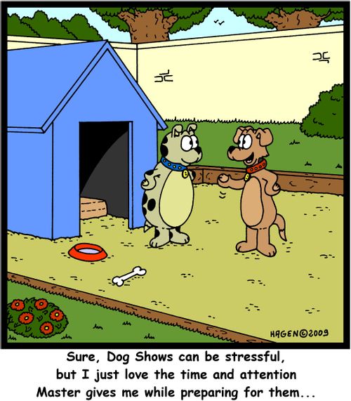 'Sure, Dog Shows can be stressful, but I just love the time and attention Master gives me while preparing for them...'