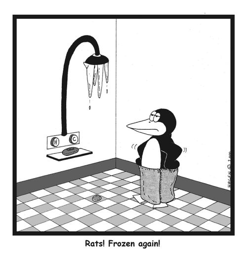 Rats! Frozen again!