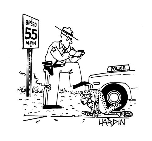Traffic policeman stops cheetah for speeding.