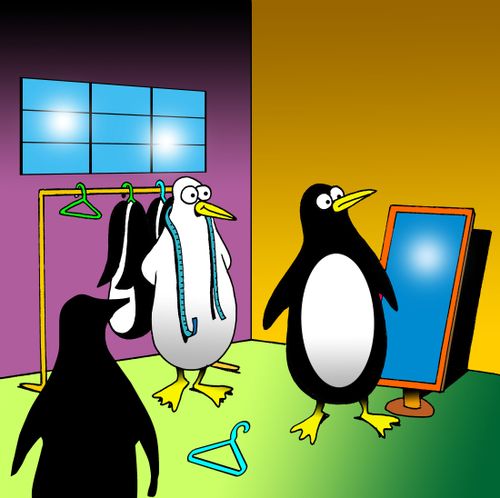 Penguin suit fitting.