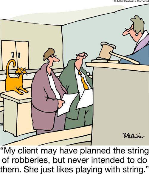 'My client may have planned the string of robberies, but never intended to do them. She just likes playing with string.'