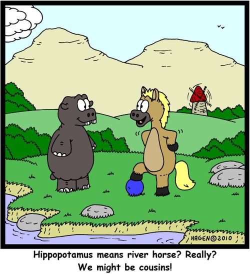 'Hippopotamus means river horse? Really? We might be cousins!'