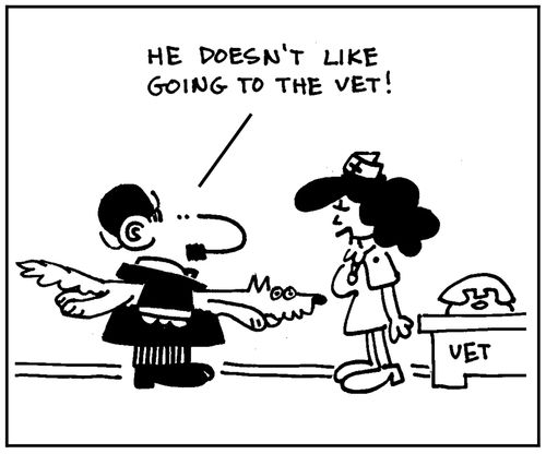 'He doesn't like going to the vet.' 