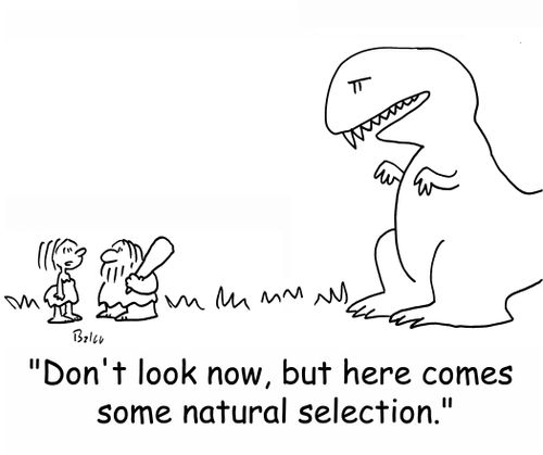 'Don't look now, but here comes some natural selection.'