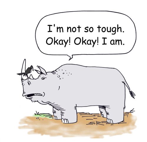Rhino Argument